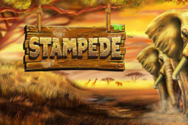 Stampede Slot Logo