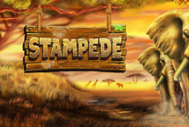 Stampede Slot Logo