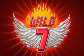 machine à sous wild 7