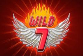 Wild 7 avis