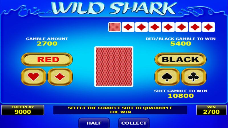 Gambling feature in Wild Shark - card color guessing game