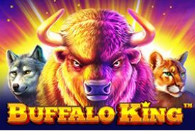 Buffalo King Review