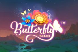 Butterfly Staxx Review