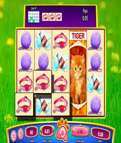 Experience the fun of OMG! Kittens Slot: Check out our Review and play for free right now at networkcareassist.com