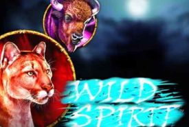 Wild Spirit Online Slot Logo