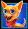chilli heat slot symbol dog
