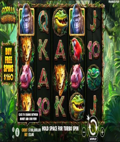 Play Gorilla Mayhem by Pragmatic Play: Review and FREE Demo Mode at networkcareassist.com