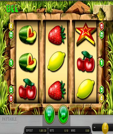 Start playing Honey Bee Slot: Access the Review and Play Online for free right now at networkcareassist.com