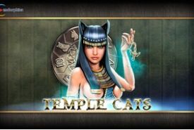 Temple Cats online slot logo