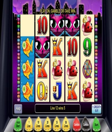Join the fun with Miss Kitty Slot: Explore the game and play online for free at networkcareassist.com.