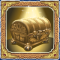 chest