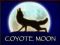 coyote moon