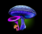 mushroom