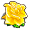 Yellow flower