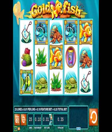 Join Gold Fish Slot: Read Our Review and Start Playing Online for free now at networkcareassist.com