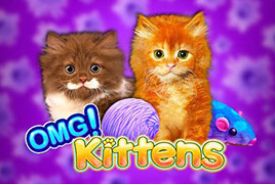 OMG! Kittens Review