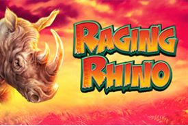 Raging Rhino Review