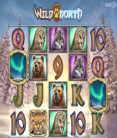 Experience the Wild North by Play'n GO - Read our Review and play the Demo for free today at networkcareassist.com