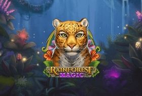 Rainforest Magic Bingo by Play'n GO Overview