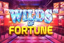 Wilds of Fortune Slot logo