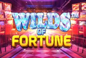 Wilds of Fortune Slot logo
