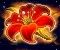 arising phoenix symbol flower