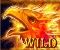 arising phoenix symbol phoenix