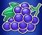 wild respin symbol grapes
