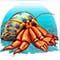 gold fish symbol crab