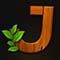 wild swarm symbol jack