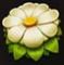 wild swarm symbol white flower